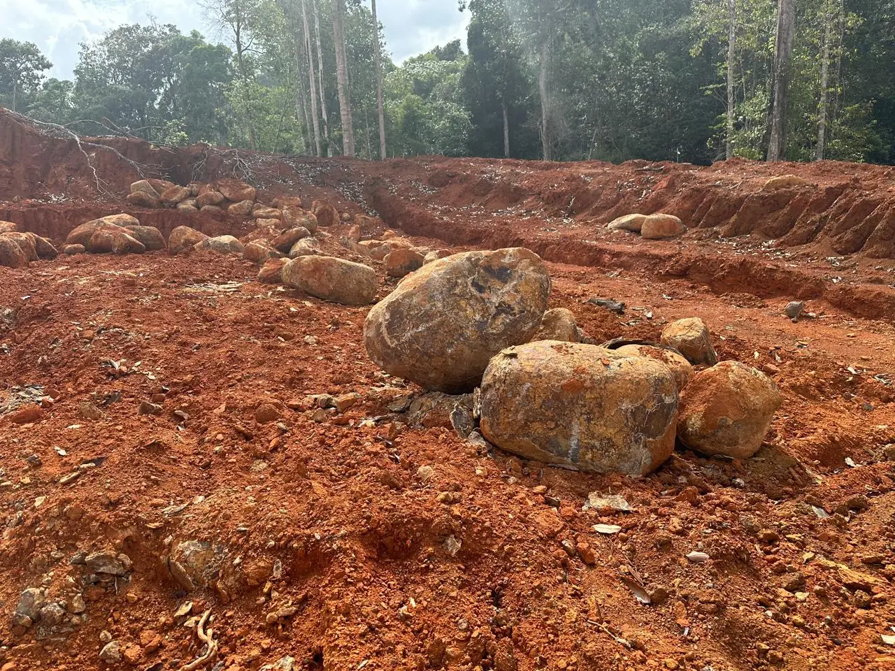 Boulders emerging from the red laterite as the overburden is stripped back.