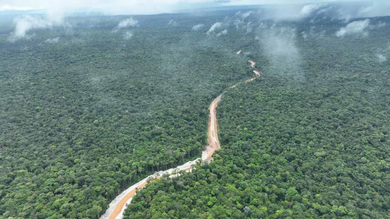 Misty aerial view of our access road cutting through the rainforest canopy at dawn.